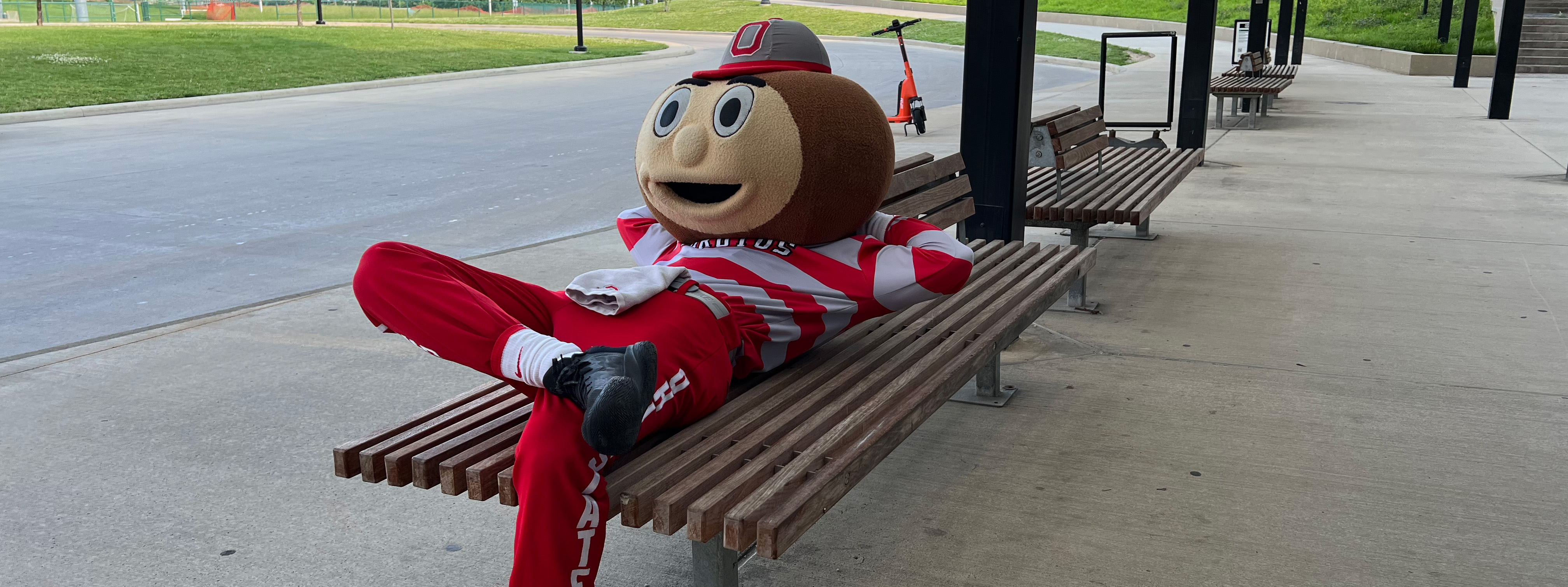 Brutus relaxing on bus stop bench