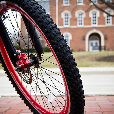 close-up of bicycle tire